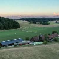 1 mois chez un Agriculteur Suisse 🇨🇭 