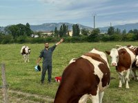 1. Une immersion technique complète dans l’élevage biologique et la transformation laitière : entre rigueur professionnelle et partage d’expérience