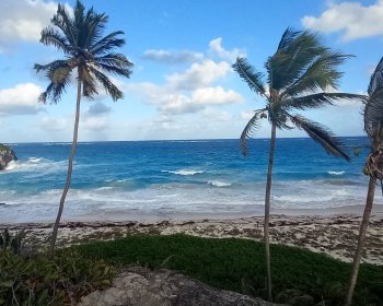 image Les côtes de la Barbade 