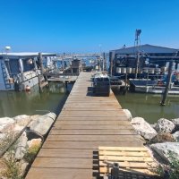 Blog 2-À force de croquer des palourdes, le crabe bleu  s'est fait croquer par le business en Italie