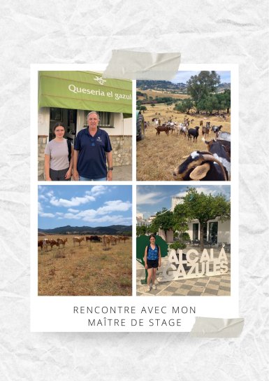 Rencontre avec l'entreprise