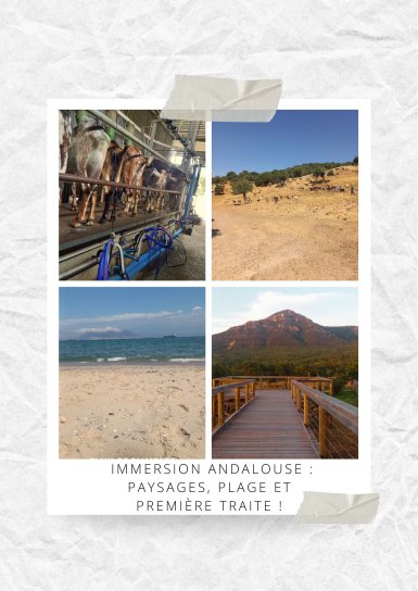 Immersion andalouse : paysages, plage et premi&egrave;re traite !
