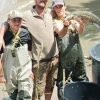 A many catfish and other fish