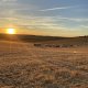 “ Agricultura en España ”