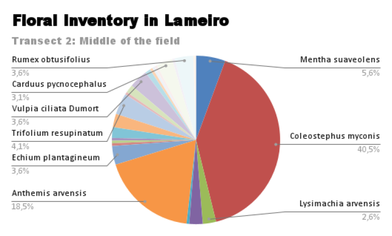 image Floral_Inventory_in_Lameiro.png (33.2kB)