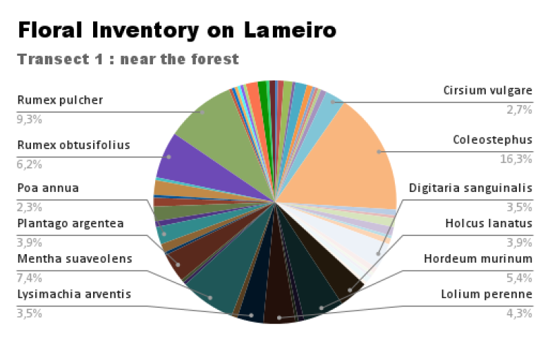 image Floral_Inventory_on_Lameiro.png (49.1kB)