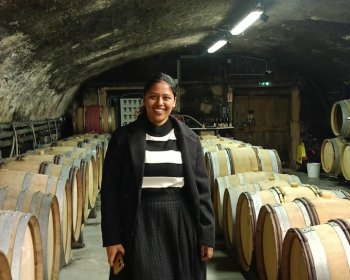 image Au c&oelig;ur de la Bourgogne