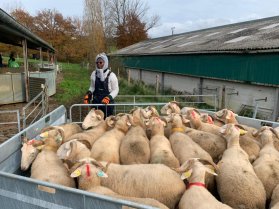 image WhatsApp_Image_20241206_at_07.22.00_1.jpeg (0.1MB)