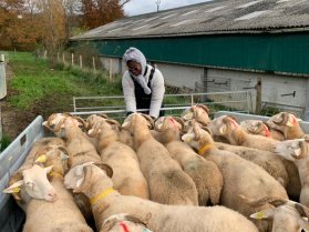 image WhatsApp_Image_20241206_at_07.22.00_2.jpeg (0.1MB)