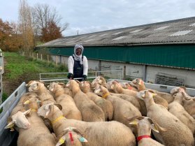 image WhatsApp_Image_20241206_at_07.22.00_5.jpeg (0.1MB)