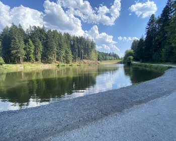 image Baignade au lac 