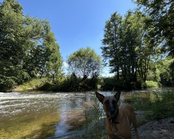 image Baignade rivi&egrave;re 