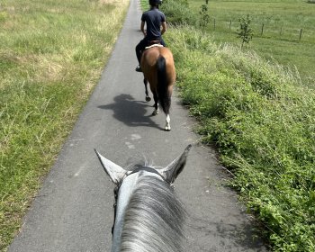 image Balade &agrave; cheval 