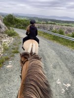 Balade à cheval 