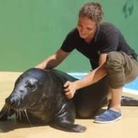 Boug, Askar et Storm 