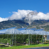 Cap sur la Suisse : mon stage en laboratoire au cœur du Valais