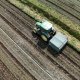 Carnet d'une agriculture connectée #2 : un robot pour désherber mécaniquement ?