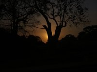 Chantier au S&eacute;n&eacute;gal