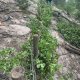 Chantier avec les Junior Rangers