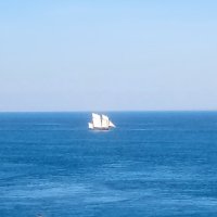 Chapitre 4 : Solstice et marquage