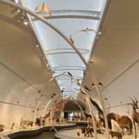 Chapitre 5 : ma semaine de stage et ma visite