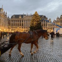 Chapitre 9 : La fin d'une belle histoire