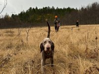 Chasse accomplie et découverte de Tromsø