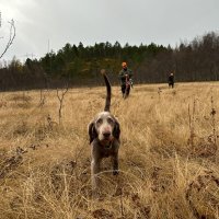 Chasse accomplie et découverte de Tromsø