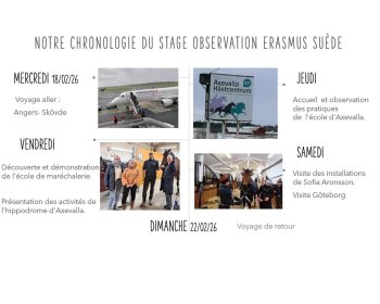 image Chronologie de stage d'observation Su&egrave;de