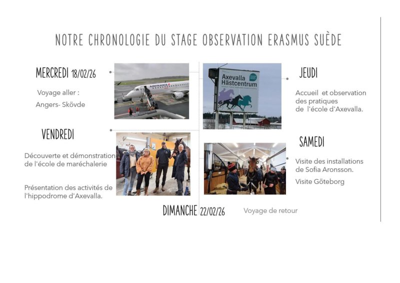 Chronologie de stage d'observation Suède