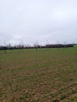 image IMG_20250214_105045_672.jpg (5.1MB)