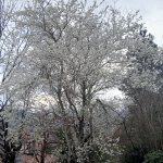 Comment le mois de février s'est-il passé chez moi ?