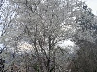 Comment le mois de février s'est-il passé chez moi ? 