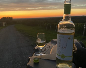 image Coucher de soleil et verre de vin blanc en Estrie 