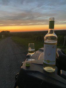 Coucher de soleil et verre de vin blanc en Estrie 