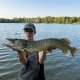 Day 4  in Slovakia ( Big fish only) 
