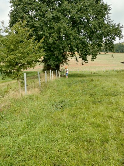 Briac d&eacute;broussaille sous la cl&ocirc;ture