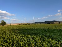 De la Charente à l'Allemagne comment j'ai troqué le cognac contre le Currywurst 