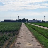 Découverte d'une exploitation Hollandaise