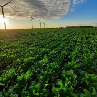 Découverte de l'Agriculture Hollandaise