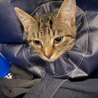 Découverte de mon entreprise