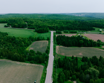 image Des champs d'ail vu du ciel