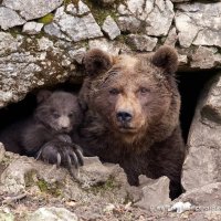 Deux mois au pays du chocolat dans un parc animalier