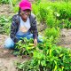 Du Togo à la France : une nouvelle étape dans mon parcours d’engagement