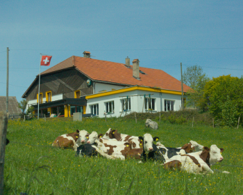 image En pleine campagne Suisse 