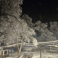 Entre entraînement et construction de traîneaux 