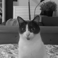 Et si je détartrais..