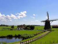 Exploration des polders hollandais et ses cultures maraîchères