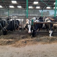 ferme pédagogique en belgique 