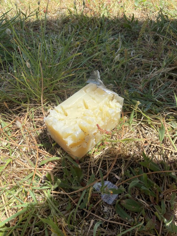 Go&eacute;lands 2 &ndash; Lilou & Mateo 0🥷🪶